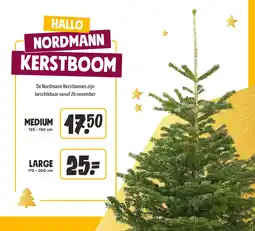 Jumbo Nordmann kerstboom Medium aanbieding