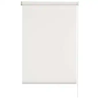 Leen Bakker Rolgordijn lichtdoorlatend - transparant wit - 60x190 cm - Leen Bakker aanbieding
