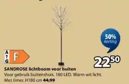 Jysk Sandrose Lichtboom voor Buiten aanbieding