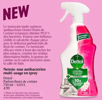Delhaize Dettol Nettoie-tout antibactérien multi-usage en spray aanbieding