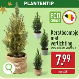ALDI Kerstboompje met verlichting aanbieding