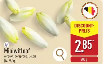 ALDI Miniwitloof aanbieding