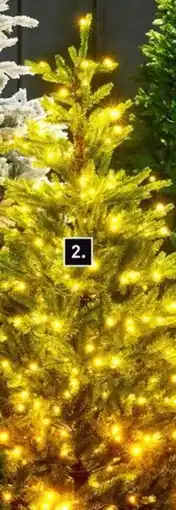 Karwei Kunstkerstboom Allison hoogte aanbieding