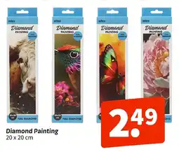 Wibra Diamond painting aanbieding