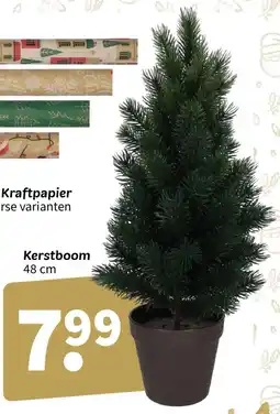 Wibra Kerstboom aanbieding