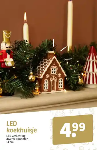Wibra Led koekhuisje aanbieding