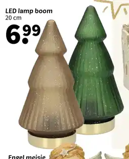 Wibra Led lamp boom aanbieding