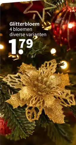 Wibra Glitterbloem aanbieding