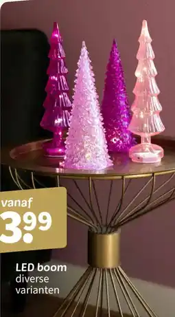 Wibra Led boom aanbieding