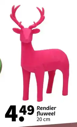 Wibra Rendier fluweel aanbieding