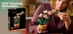Kruidvat LEGO Botanicals Miniorchidee aanbieding