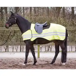 Decathlon Reflecterende paardendeken Harry's Horse aanbieding