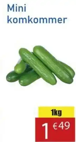 Tanger Markt Mini Komkommer aanbieding
