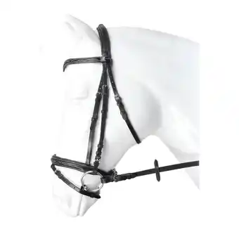 Decathlon Hoofdstellen Horka Verdi aanbieding