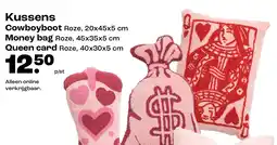 Kwantum Kussens aanbieding