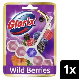 Albert Heijn Glorix WC blok wildberries aanbieding