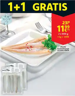 Cora Alaska koolvishaasje ocean pride aanbieding