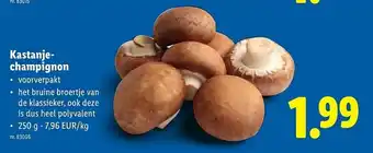 Kastanje champignon