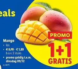 Lidl Mango aanbieding