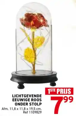 Trafic Lichtgevende Eeuwige Roos Onder Stolp aanbieding