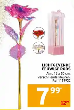 Trafic Lichtgevende Eeuwige Roos aanbieding