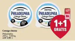 Delhaize Philadelphia Cottage cheese aanbieding