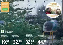 GAMMA Nordmann aanbieding