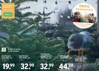 GAMMA Nordmann aanbieding