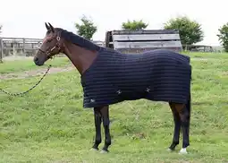 Decathlon Harry's Horse Onderdeken Powerliner 200gr aanbieding