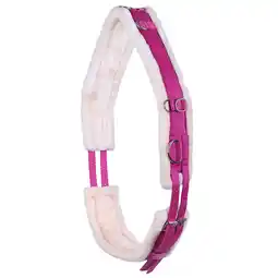 Decathlon Werkblad QHP Ontario aanbieding