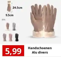 NH Market Handschoenen Alu divers aanbieding