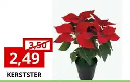 NH Market KERSTSTER aanbieding