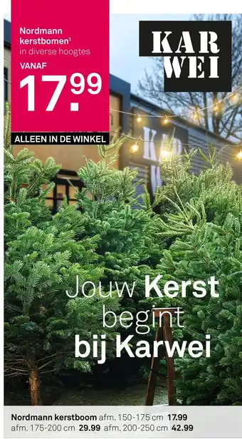 Karwei Nordmann kerstbomen aanbieding