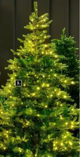 Karwei Kunstkerstboom Minnesota aanbieding