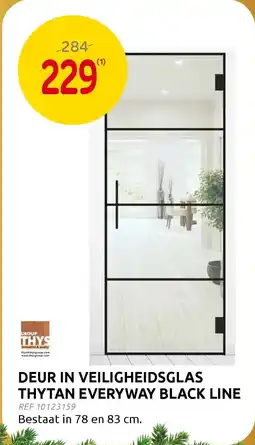 Brico Group Thys deur in veiligheidsglas thytan everyway black liTHYTAN EVERYWAY BLACK LINE aanbieding