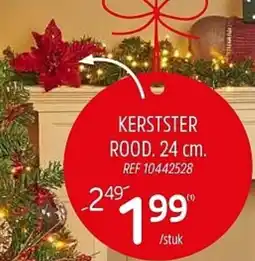 Brico Kerstster Rood aanbieding