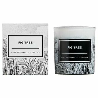 Kwantum Geurkaars Fig Tree Zwart aanbieding