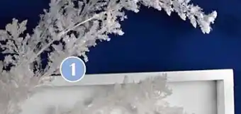 Brico Tak aanbieding