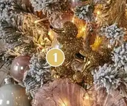 Brico Hond aanbieding