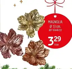 Brico Magnolia aanbieding