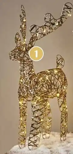 Brico Rendier met led-lichtjes aanbieding