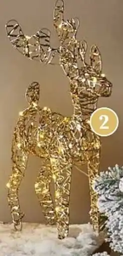 Brico Rendier met led-lichtjes aanbieding