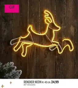 Brico Rendier neon aanbieding
