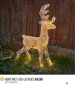 Brico Hert met led-lichtjes aanbieding