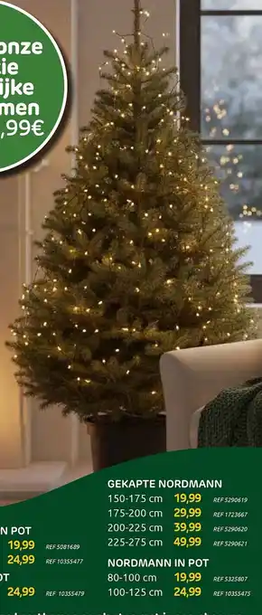 Brico Gekapte nordmann aanbieding