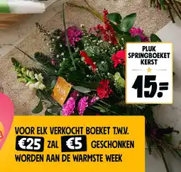 Jumbo pluk springboeket kerst aanbieding