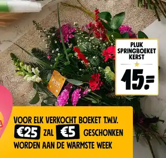 Pluk springboeket kerst