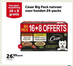 AVEVE Cesar Big Pack natvoer voor honden 24-packs aanbieding
