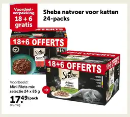 AVEVE Mini Filets mix selectie 24 x 85 g aanbieding