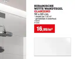 Hubo Keramische witte wandtegel glanzend aanbieding